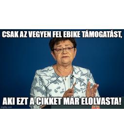 Elektromos kerékpár (eBike) állami támogatással! Csak az igazán fontos tudnivalók minden marketing és jogi sallang nélkül!