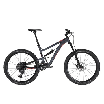KELLYS Thorx 10 L 29"