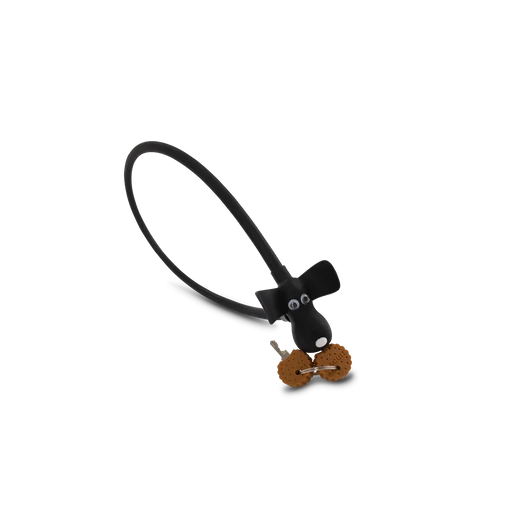 RFR CABLE LOCK HPS 