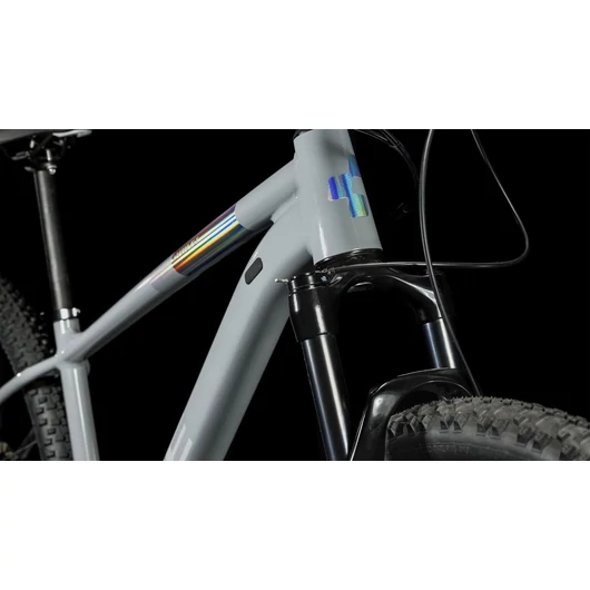 Cube Access WS SLX grey´n´silve
