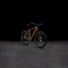 Kép 2/7 - Cube Nature Pro Gold'n'Black; 28; 2023 kerékpár